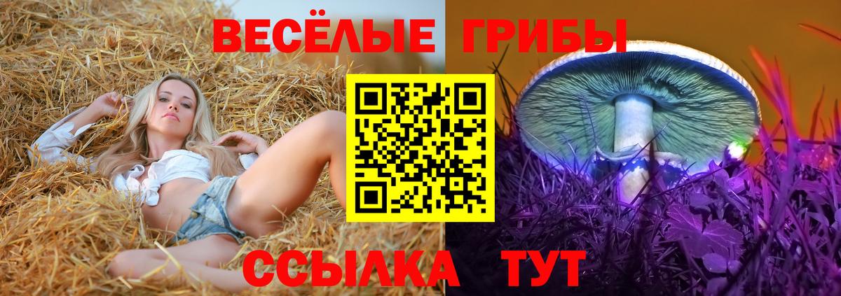 Псилоцибиновые грибы прущие грибы  Галлюциногенные грибы Psilocybe  Вход с VPN  Кашира 