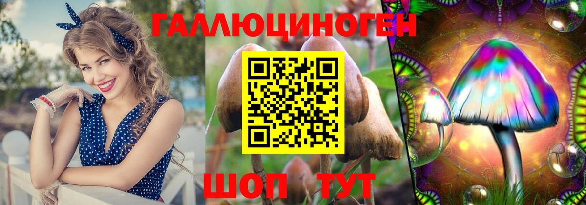 Галлюциногенные грибы Magic Shrooms Кашира